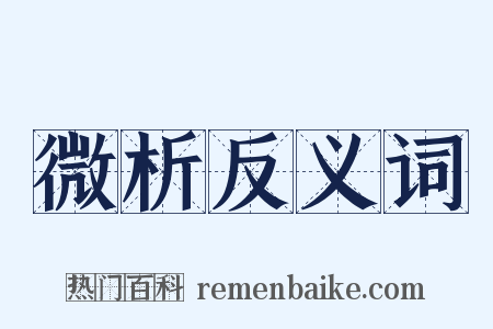 微析反义词是什么意思的图片